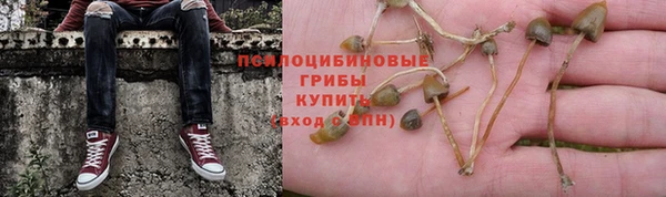 тгк Беломорск