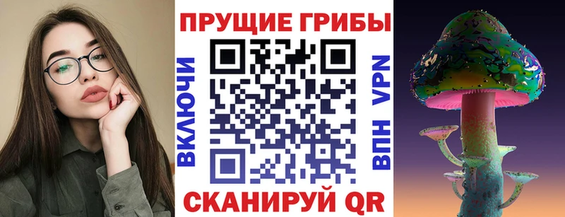 Галлюциногенные грибы Psilocybe  что такое наркотик  Славгород 