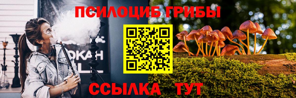 Галлюциногенные грибы Psilocybine cubensis Славгород