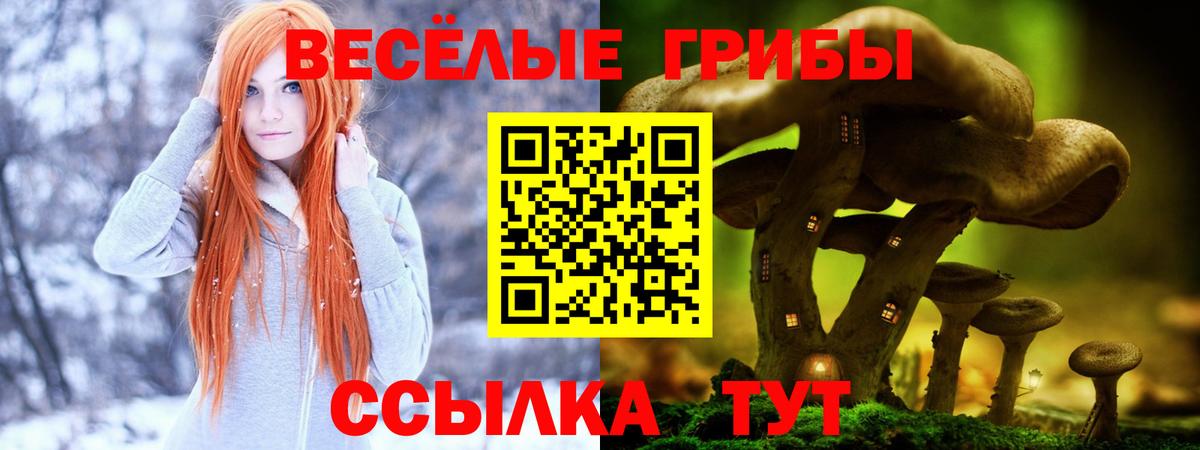 Славгород  Галлюциногенные грибы прущие грибы  Вход с VPN  Галлюциногенные грибы MAGIC MUSHROOMS 