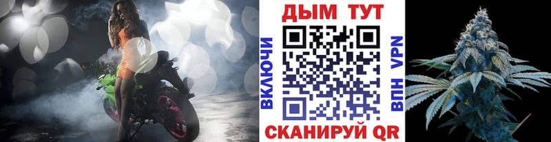 МАРИХУАНА планчик  дарнет шоп  Славгород 